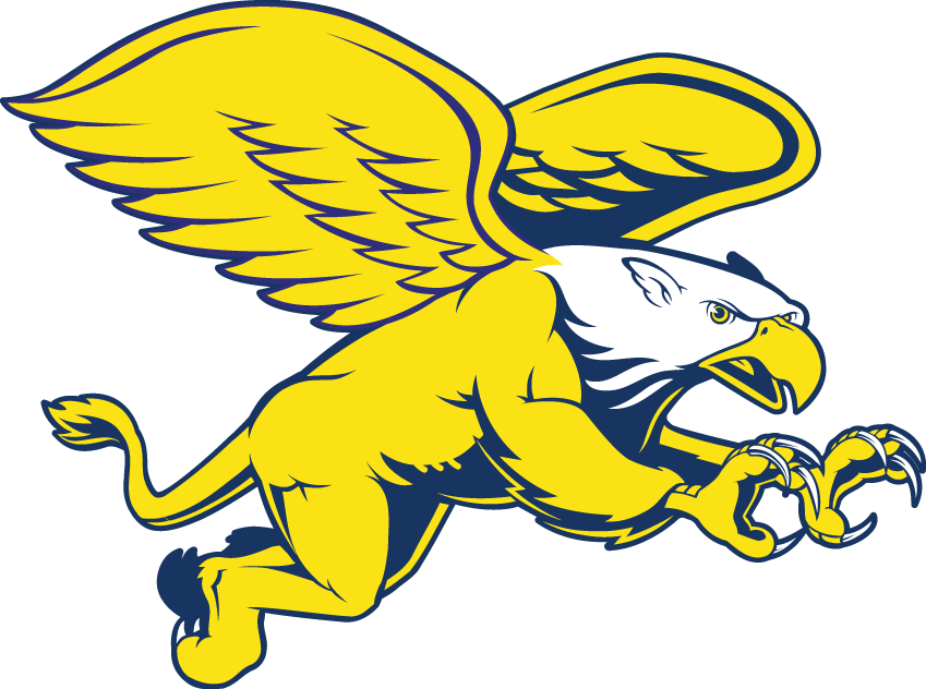 Canisius Golden Griffins 1999-2005 Secondary Logo v2 iron on transfers for T-shirts